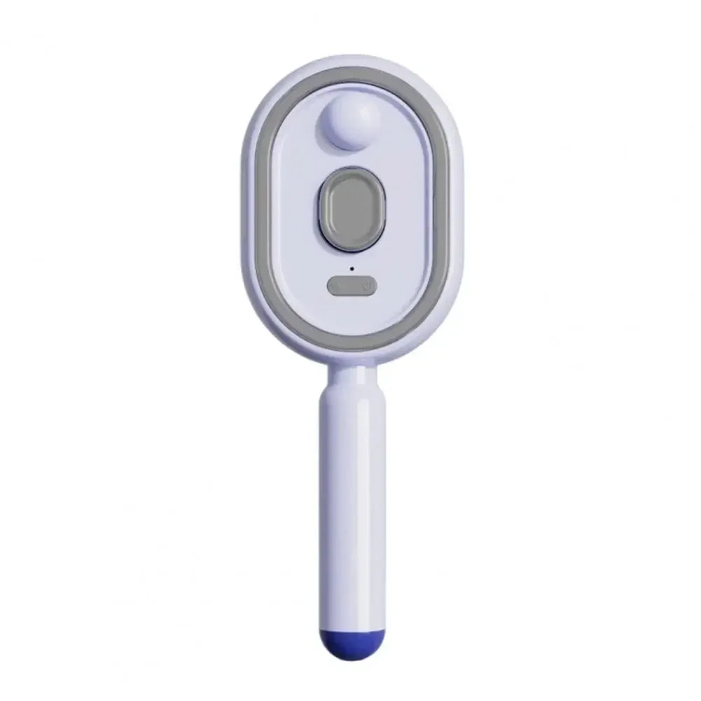 Multi functional massage comb , Electric Steam Hair Brush ,USB-C Charging Spray Steam Smoothing Straightener Anti-Frizz Styling Com