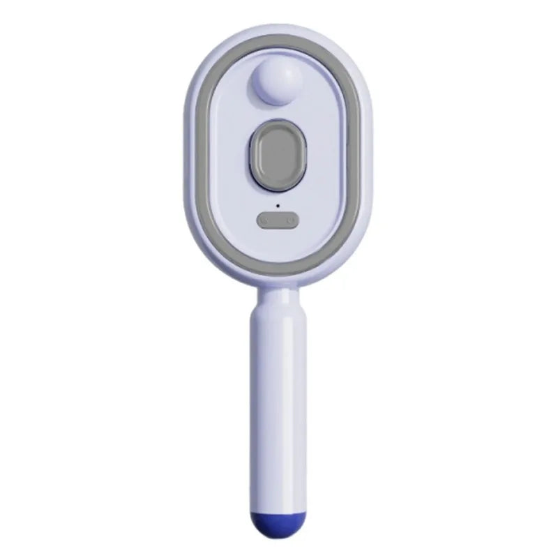 Multi functional massage comb , Electric Steam Hair Brush ,USB-C Charging Spray Steam Smoothing Straightener Anti-Frizz Styling Com